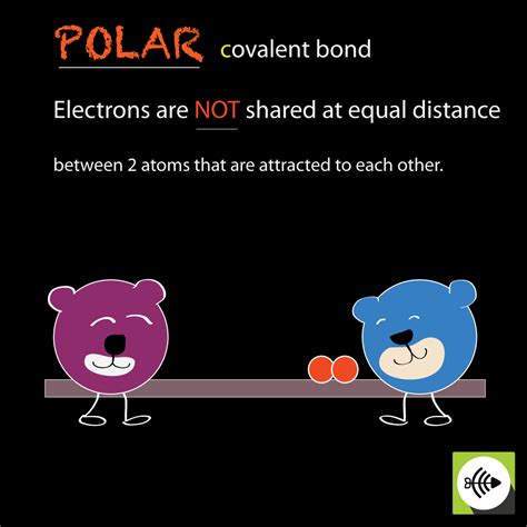 What is Polar Covalent Bond
