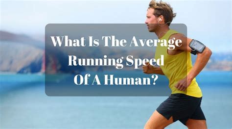 What Is The Average Running Speed Of A Human? Find Out ...
