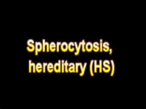 What Is The Definition Of Spherocytosis, hereditary HS ...