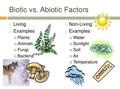 What is the difference between biotic and abiotic?   Quora