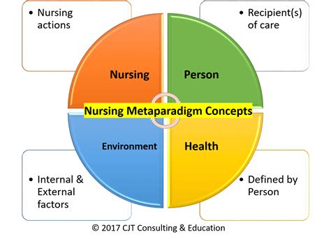 What is the Nursing Metaparadigm?   Nursing Education Expert