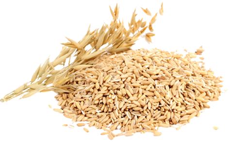 What is Whole Grain   Whole Grain vs Whole Wheat