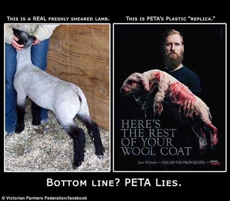 What is wrong with PETA? Why does everyone hate them ...