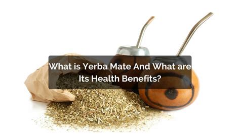 What is Yerba Mate And What are Its Health Benefits?