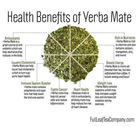 What is Yerba Mate? | Organic Loose Leaf Tea | Full Leaf ...