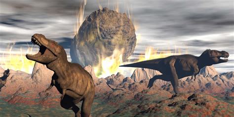 What killed dinosaurs before extinction?   Business Insider