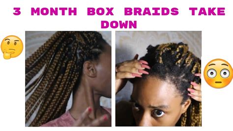 What Wearing Box Braids For 3 Months Did To My Hair   YouTube
