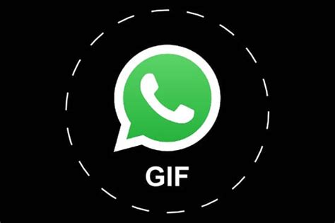 WhatsApp integra il motore di ricerca di Giphy e Tenor per ...