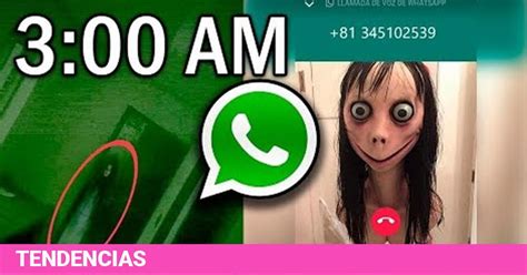 WhatsApp:  Momo  y el inesperado mensaje a las 3:00 am ...