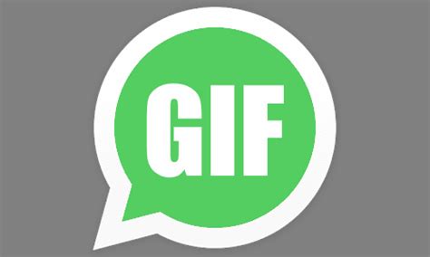 WhatsApp ya permite enviar GIFs, pero solo en iOS   SomosVoz