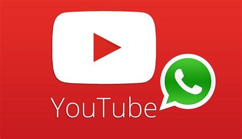 WhatsApp: Ya puedes reproducir videos de YouTube en ...