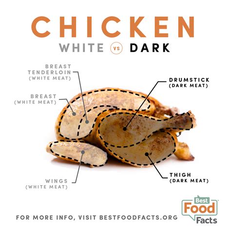 What’s the difference between white and dark chicken ...