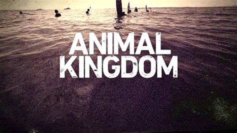 When Does Animal Kingdom Season 2 Start? Premiere Date ...