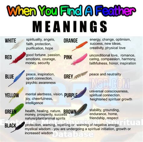 when you find a feather meanings   Google Search | MBR ...