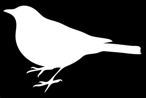 White Bird Black Back Clip Art at Clker.com   vector clip ...