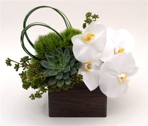 White phalenopsis orchid and succulents in a modern wooden ...