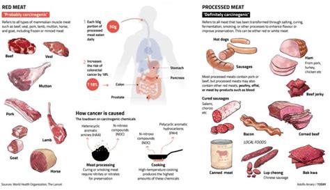 WHO States Red/Processed Meat Linked to Cancer   DrCarney ...