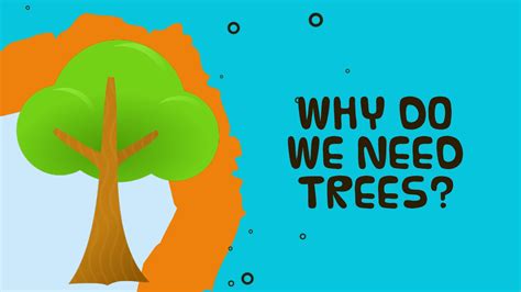 Why Do We Need Trees?   Facts about trees for kids   YouTube