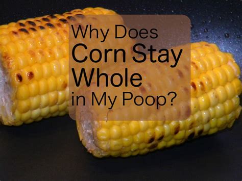 Why Does Corn Come Out Whole in My Poop? | Owlcation