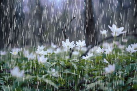 Why does rain smell? | MNN   Mother Nature Network
