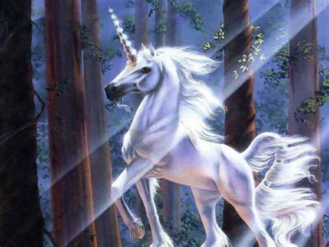 Why I Don’t Ride a Unicorn to Work