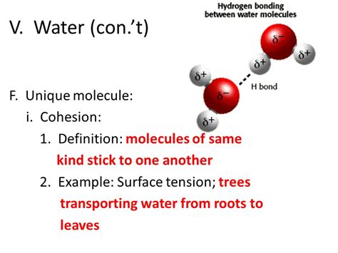 Why Study Chemistry in Biology?   ppt video online download