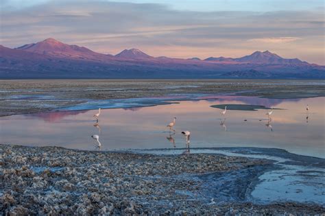 Why You Need to Go to Chile’s Atacama Desert: Photo Travel ...