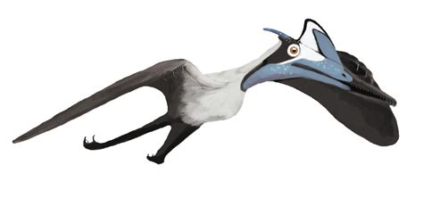 Wiki: Pterodactylus   upcScavenger