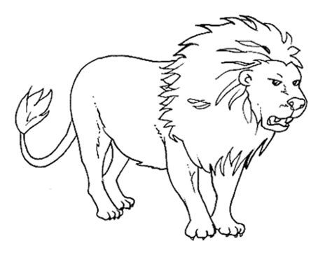 Wild Animals Coloring Pages   Coloring Home