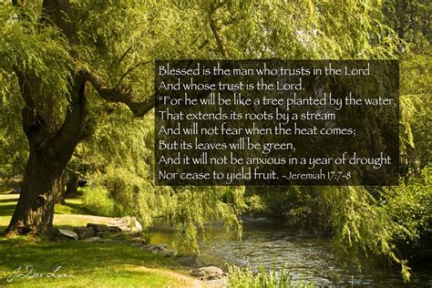 willow tree by river, Jeremiah 17:7 8 | JoDee Luna s Blog