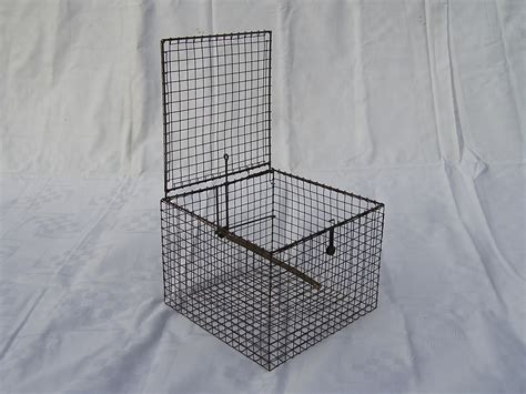 Wire cage traps | CHT20   Chardonneret trap | Moudry traps