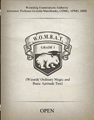 Wizards  Ordinary Magic and Basic Aptitude Test   Harry ...
