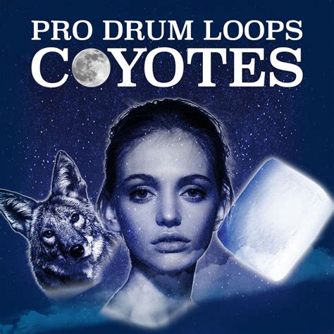 Wolves Drum Loops Kit Inspired by Selena Gomez X Marshmello