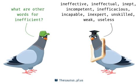 Words Inefficient and Inept have similar meaning