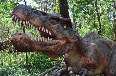 World s Biggest Dinosaur Park | Entertainment News, News ...