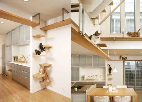 Wretched Excess Dept: A House Designed For Cats : TreeHugger
