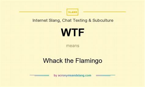 WTF   Whack the Flamingo in Internet Slang, Chat Texting ...