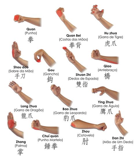 Wushu mãos | kung fu | Pinterest | Mãos, Artes marciais e ...