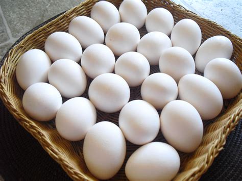 Y tú…¿Cómo cascas el huevo? – Vive Nutrición