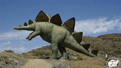 Yacimientos Dinosaurios   Turismo Rural temático en La ...