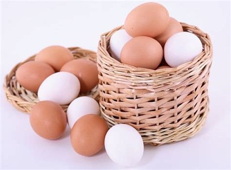 Yakult México » ¿Se puede consumir huevo todos los días?