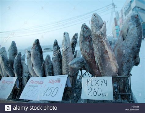 YAKUTSK, RUSSIA. JANUARY 17, 2016. A stall selling fish at ...