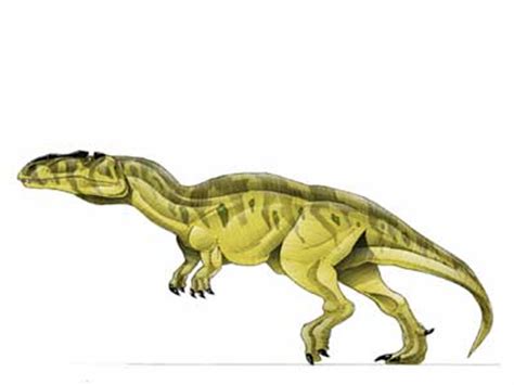 Yangchuanosaurus   Jurassic Park Wiki