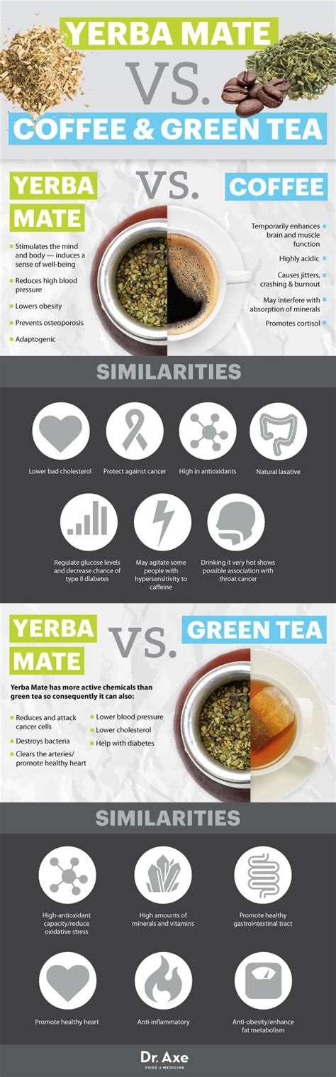 Yerba Mate Benefits, Including Fighting Cancer + How to ...