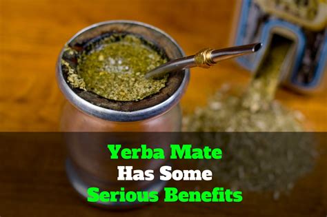 Yerba Mate Has Some Serious Benefits! | BlendBee   Your ...