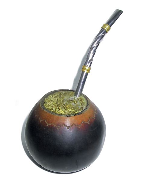 Yerba Mate – One of the Best Substitutes for Coffee? – Dr ...