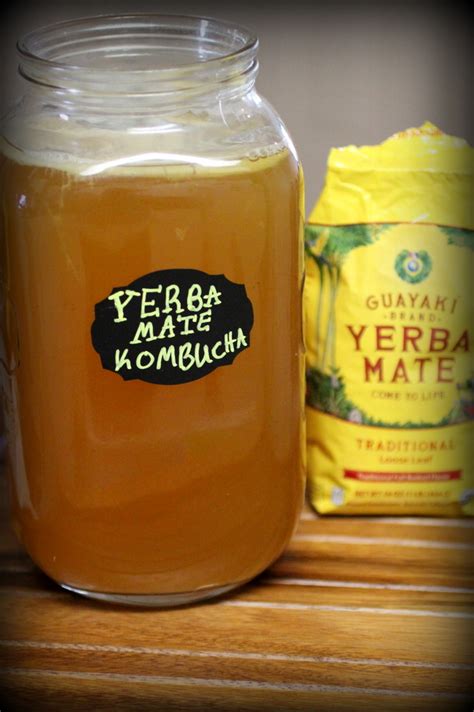 Yerba Mate Tea Kombucha   Cultured Food Life