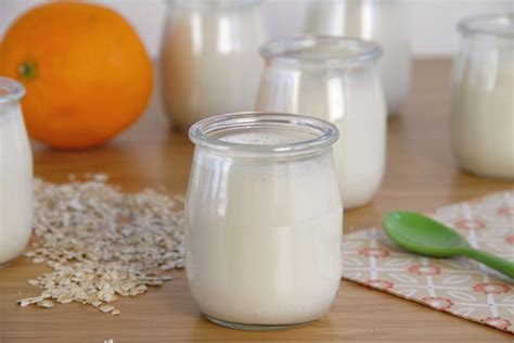 Yogur de avena y naranja | Recetas Thermomix ...