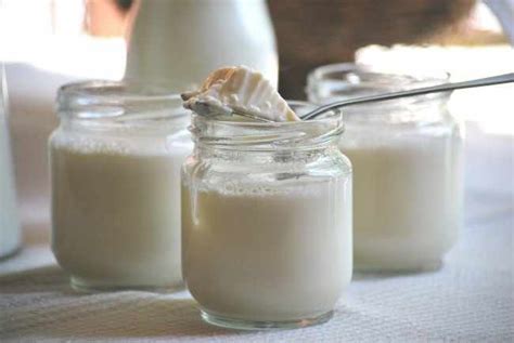 Yogur de soja, propiedades y beneficios en la alimentacion