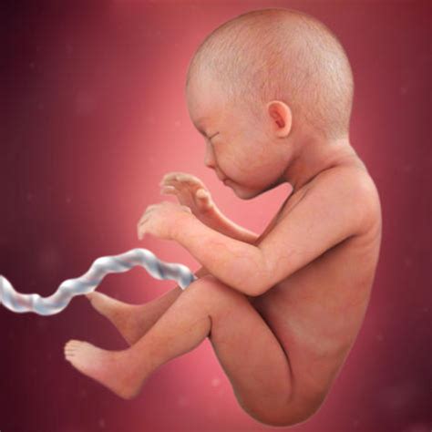Your pregnancy: 29 weeks | BabyCenter